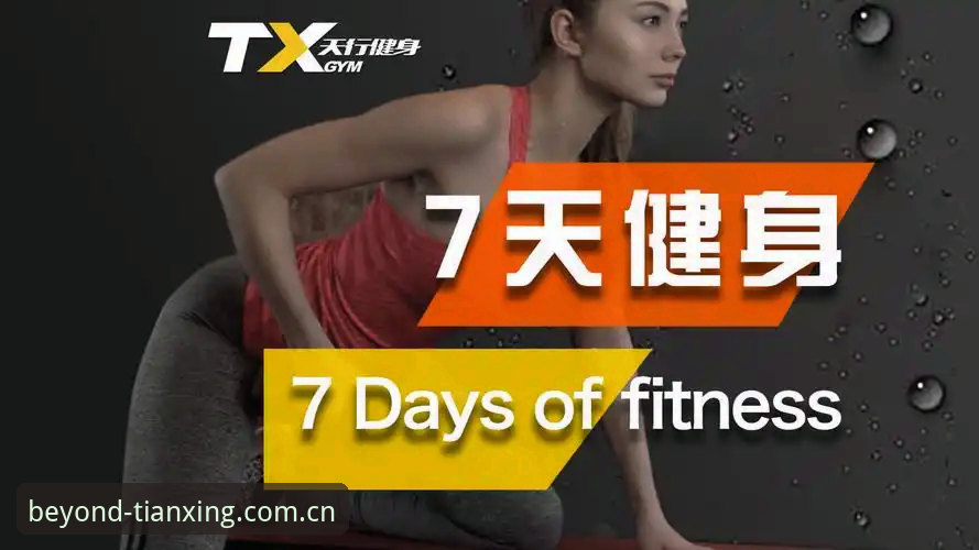 天行体育安卓版必备功能详解与安装指南